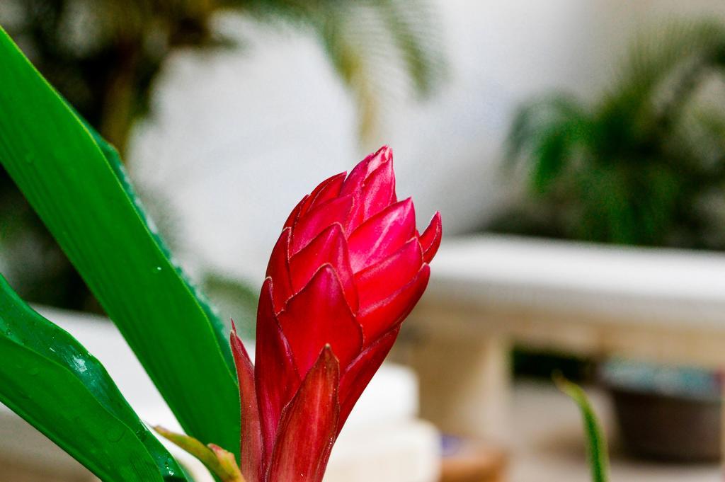 Hotel Aldea Del Bazar & Spa Puerto Escondido  Ngoại thất bức ảnh